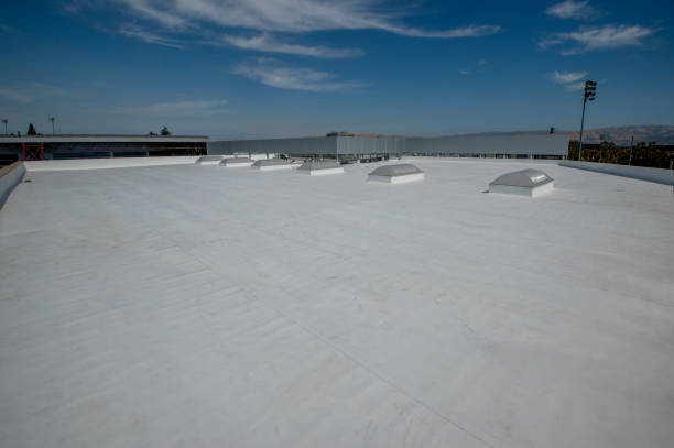 Best Flat Roofing  in Del Norte, CO