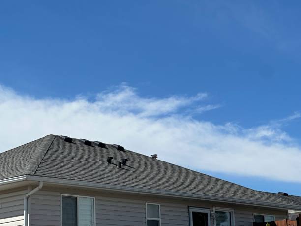 Best Cold Roofs  in Del Norte, CO